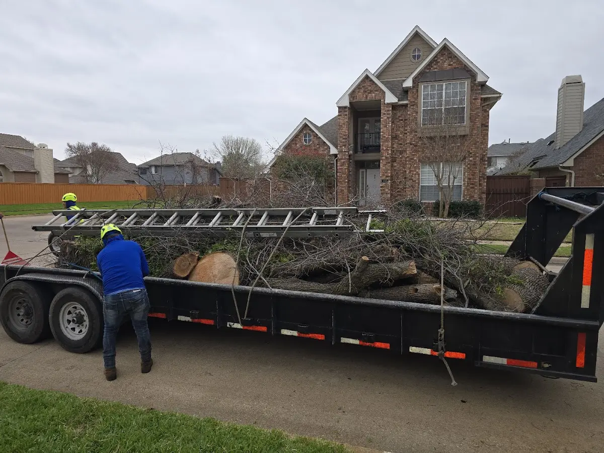 Expert Lot Clearing with proper safety equipment in Kewaskum